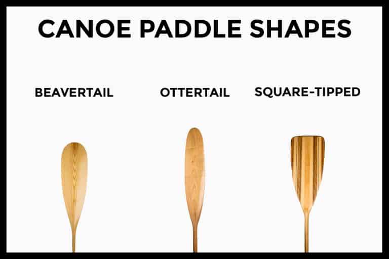 How Long Should a Canoe Paddle Be? (Sizing) Paddle Camp The Best
